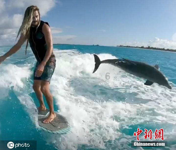 “熊猫家园 净土阿坝”阿坝州第四届电信5G网络春晚节目投票开始啦!